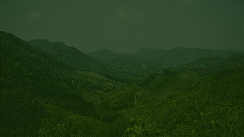 Sustainability First