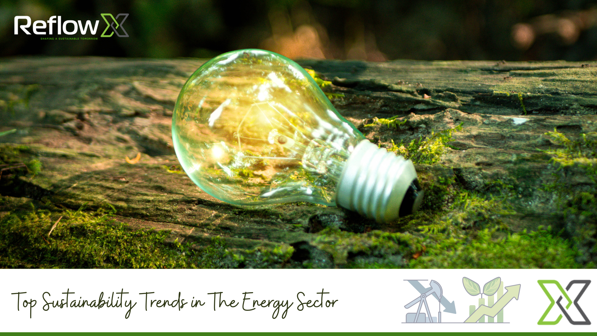 Sustainability in the Energy Sector